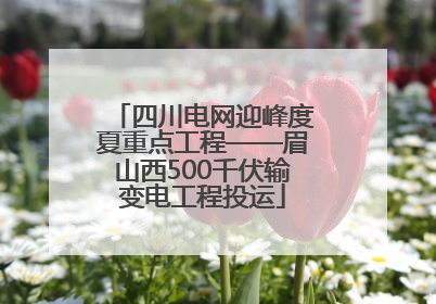 四川电网迎峰度夏重点工程——眉山西500千伏输变电工程投运